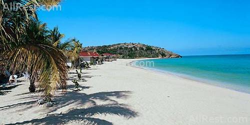 Galley Bay 8